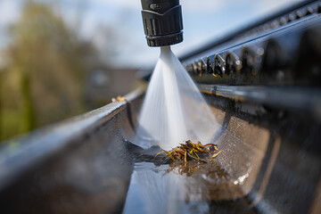 Comprehensive Roof Cleaning Services
